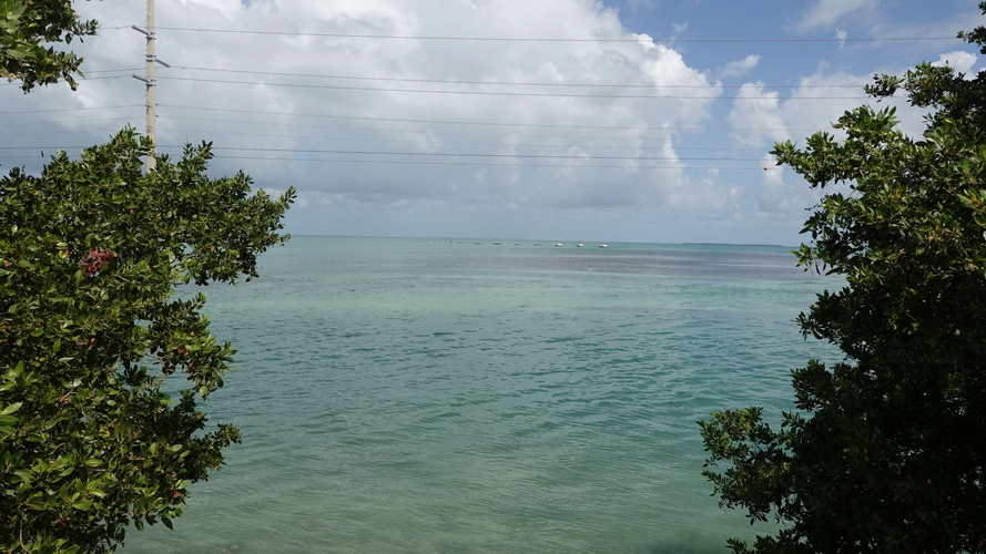 MIA_2023-08-11 11-25-19_RX_05839